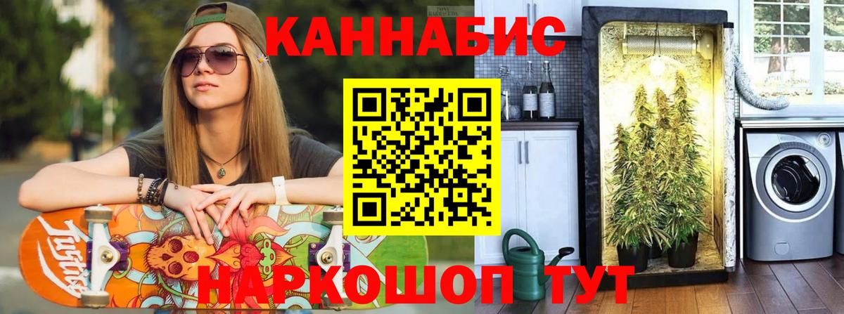Бошки марихуана SATIVA & INDICA  МАРИХУАНА THC 21%  Новотроицк  Вход с VPN 