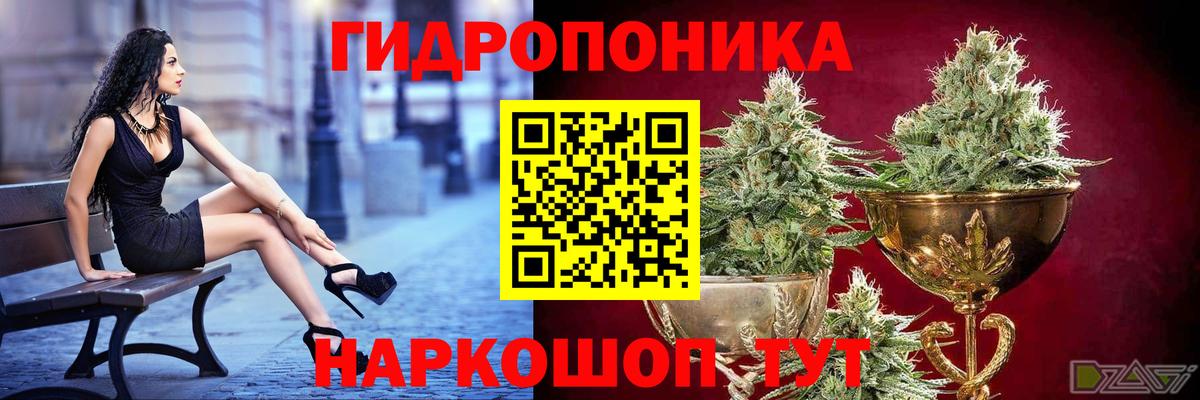Конопля семена Новотроицк